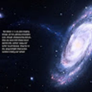 Meet your Posher, Bryce